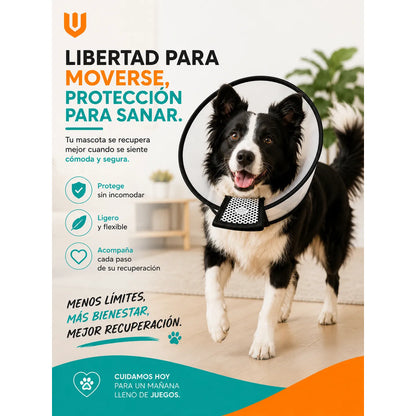 Cono Isabelino Veterinario Canino Felino Postoperatorio Collar Isabelino Recuperacion Quirurgica Mascotas Grandes Protector Veterinario Ajustable Premium Talla 2 Grande Mascotas Perros Gatos...
