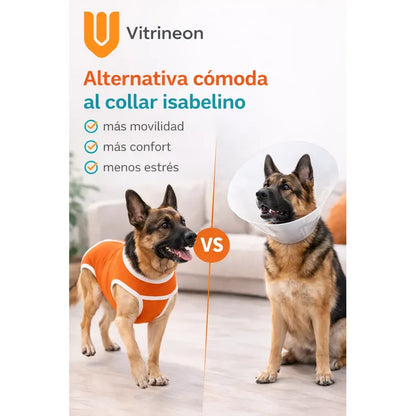 Body Post Operatorio Perros Ropa Traje Mascotas Cuidados L-body Perro Postcirugia Proteccion Suturas Ajuste