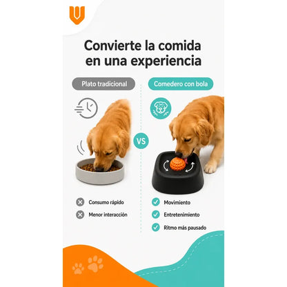 Dispensador Alimento Perros Plato Anti Ansiedad Mascota Negro