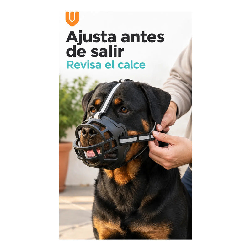 Accesorio Adiestramiento Perros Grandes Evita Daños Hogar Ne Negro Mediano