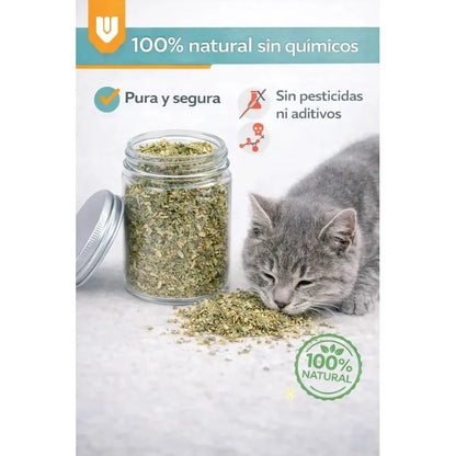 Hierba Gatera Gato Catnip 30g Snack Seco Estimulante Natural Hierba