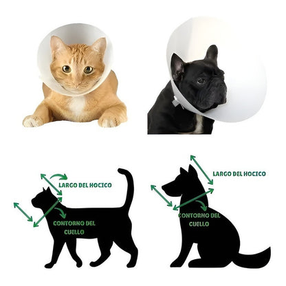 Collar Isabelino Perro Gato 10cm Cono Ajustable Transparente