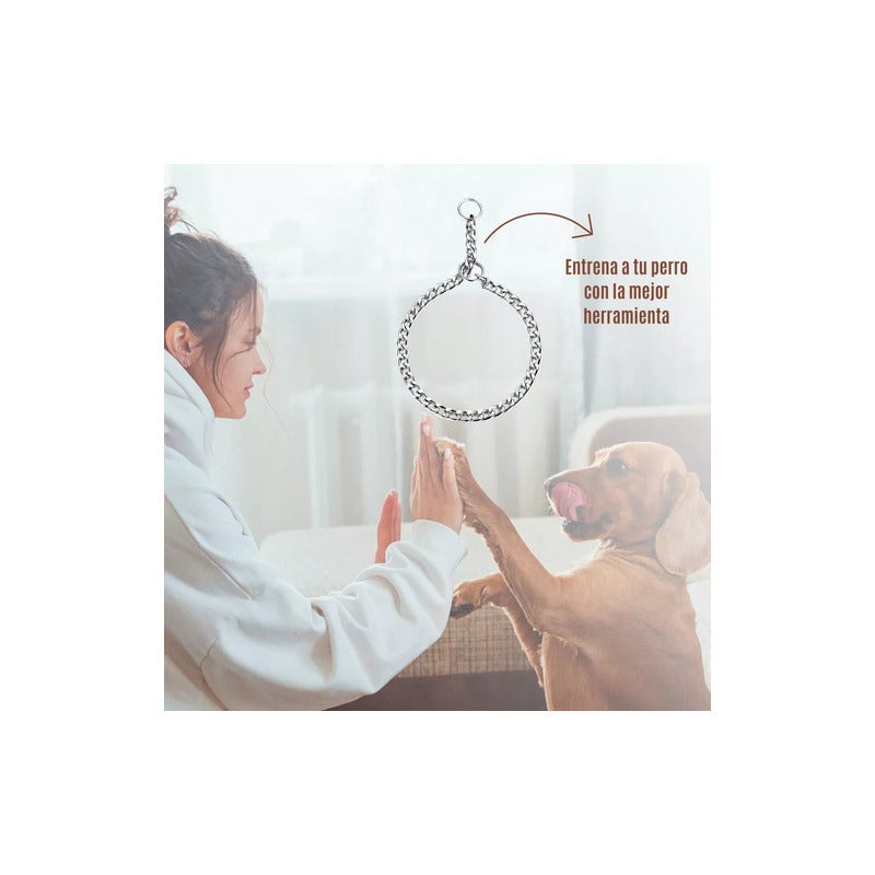 Collar De Castigo Fastpet Cadena Para Perro De Adiestramento Y Entrenamiento Ajustable Diferentes Tamaños Para Raza De Perros De Acero Inoxidable Resistente Suave Con La Piel Y Pelaje