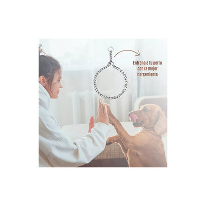 Collar De Castigo Fastpet Cadena Para Perro De Adiestramento Y Entrenamiento Ajustable Diferentes Tamaños Para Raza De Perros De Acero Inoxidable Resistente Suave Con La Piel Y Pelaje