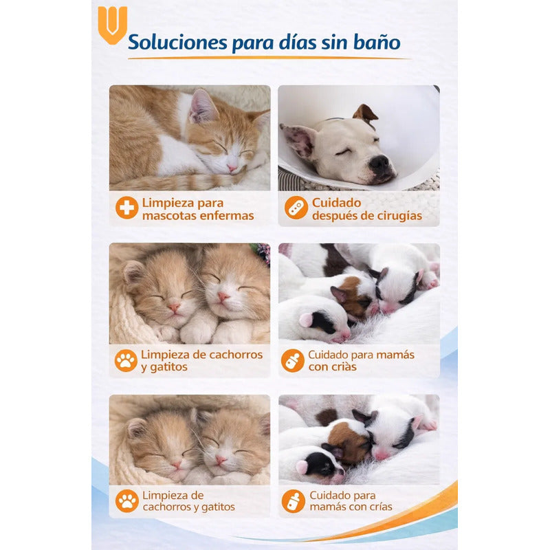 Toallas Desechables Humedas Guante Limpieza Mascota 6 Pieza Toallas Humedas Desechables Guante Limpieza Mascotas Higiene Rapida Suave Humectante Portatil Seis Unidades Cuidado