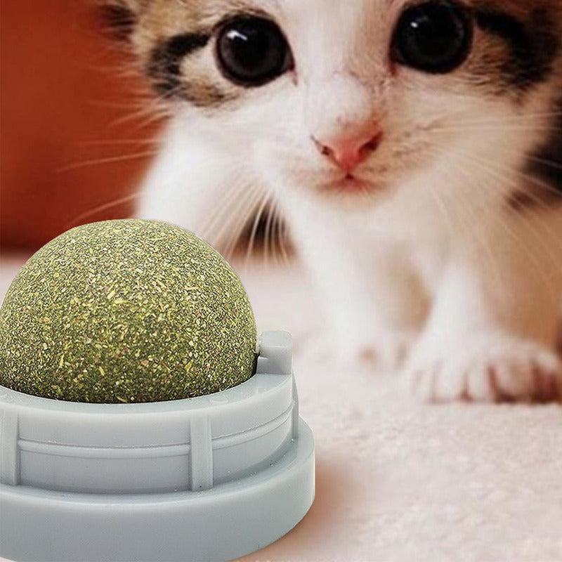 Bola Hierba Gatera Catnip Gatos Bola Snack Catnip Antiestrés