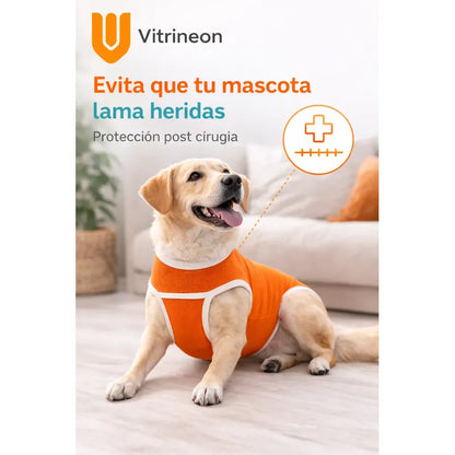 Body Post Operatorio Perros Ropa Traje Mascotas Cuidados L-body Perro Postcirugia Proteccion Suturas Ajuste