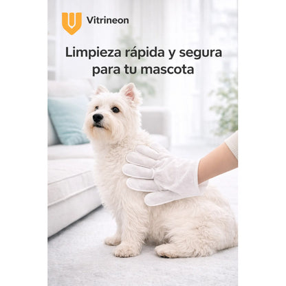 Toallas Desechables Humedas Guante Limpieza Mascota 6 Pieza Toallas Humedas Desechables Guante Limpieza Mascotas Higiene Rapida Suave Humectante Portatil Seis Unidades Cuidado