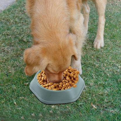 Per-ros Antistress Color Verde Plato De Comida Antiansiedad Mascotas Huesitos Perros Gatos