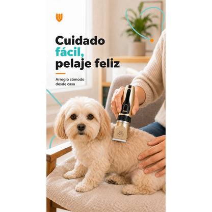 Maquina Peluquera Profesional Corta Pelo Mascotas Perro Gato Negro Dorado Acabado Brillante Rasuradora Mascotas Geemy Gm6063 Cuerpo Oscuro Detalles Oro Peines Tijera Lima Kit Cortes