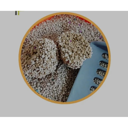 Arenero Xl Baño Sanitario Gatos + Arena Sanitaria Gatos 5kg