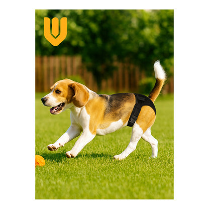 Calzon Perros Celo Calzones Reutilizables 3 Repuestos Pañal