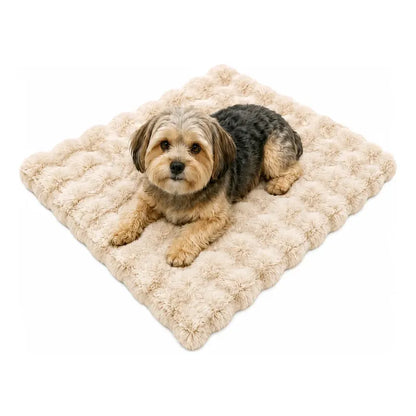 Cama Perros Mascotas Acolchada Lavable Resistente 60x80cm Beigecrema Camas De Perro