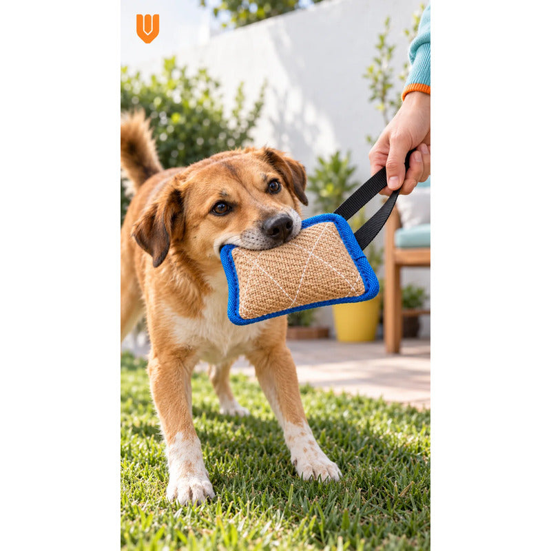 Mordedor Yute Perro Asa Juego Interactivo Adiestramiento Beige Natural Mordedor Canino Yute Asa Negra Cuerpo Compacto Rectangular Juego Interactivo Trama Visible