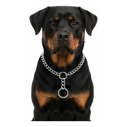 X2 Collar Adiestramiento Perro Collar De Adiestramiento 50cm Plateado 50cm