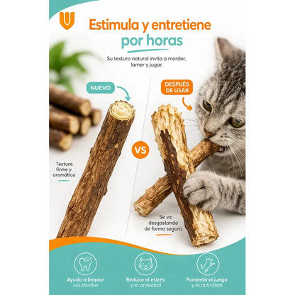 X5 Palitos Hierba Gatera Yerba Gatera Juguete Para Gatos Marrón