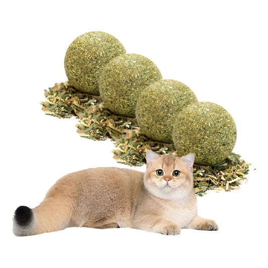 X8 Bola Catnip Para Gatos Juguetes De Gato Snack Para Gatos