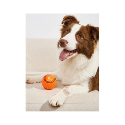 Juguete Mordedor Para Perros Juguetes Para Cachorros Sonido