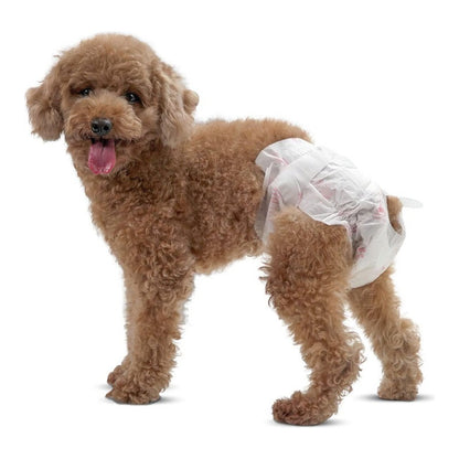 X50 Pañales Para Perros Pañales Para Perro Pañales Gato L