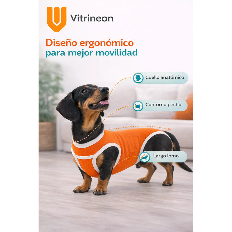Body Postoperatorio Perro Ajustable Transpirable Lavable