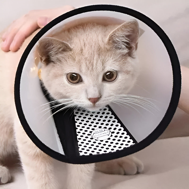 X2 Collar Isabelino Perro Collar Isabelino Gato Perro 5