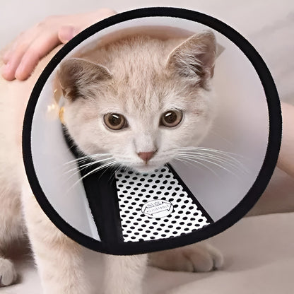 X2 Collar Isabelino Perro Collar Isabelino Gato Perro 5