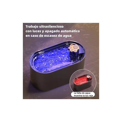 6 Filtro Bebedero Perro Fuente Agua Filtro Fuente Agua Gato