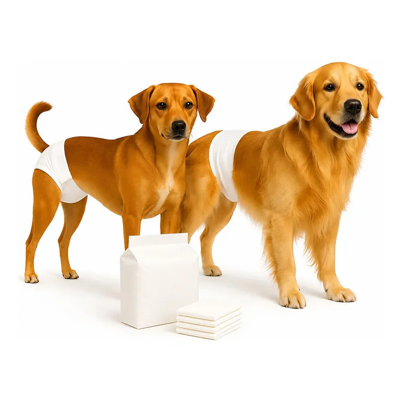 22 Pañales Macho Hembra Pañal Faja Pañal Calzon Perro Gato M Blanco Hembra M 42x30cm / Macho M 55x20cm