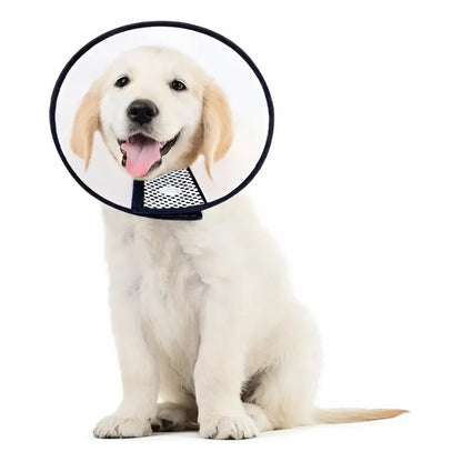 Collar Isabelino Perro Gato 10cm Cono Ajustable Transparente