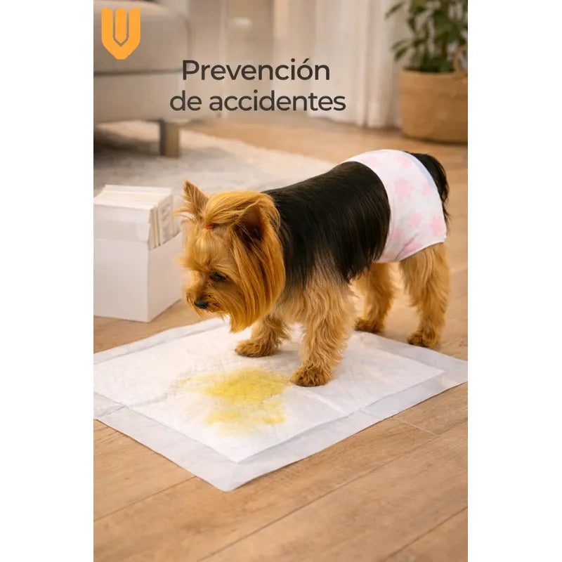 20 Pañales Perro Gato Xs Incontinencia Antifuga Macho Hembra Blanco Xs
