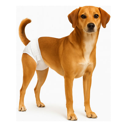 X40 Pañales Perros Hembra Desechable Perro Pañales Gato M