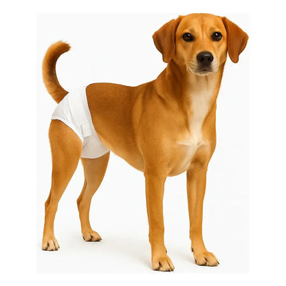 X20 Pañales Hembra Gato Perro Panal Macho Panales Perro M Blanco Hembra M 42 X 30 Cm