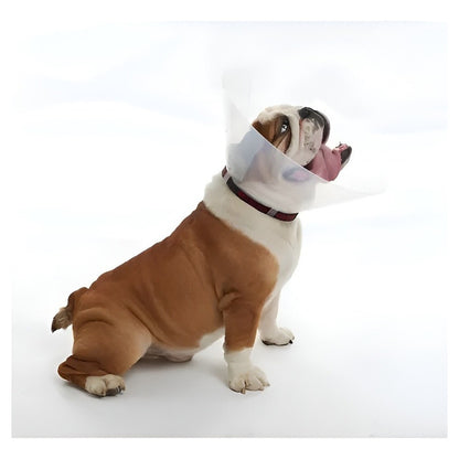Collar Isabelino Perro Gato 10cm Cono Ajustable Transparente