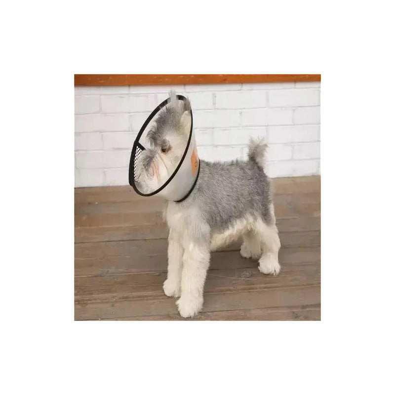 3 Collar Isabelino Gato Collar Perro Collar Isabelino Perr 4