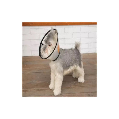 2 Collar Isabelino Gato Collar Perro Collar Isabelino Perr 4