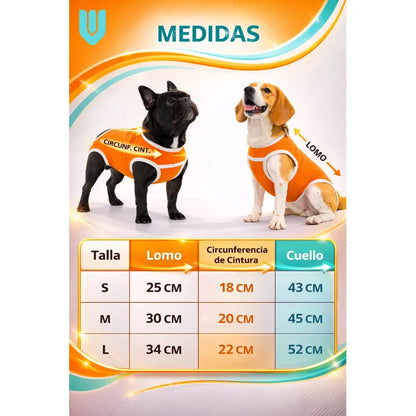 Body Postoperatorio Perro Ajustable Transpirable Lavable