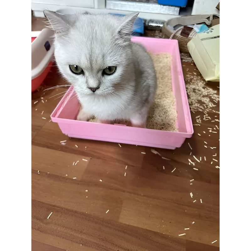 X2 Arena De Tofu Arena Sanitaria Arena Para Gatos Tofu 2 Kg