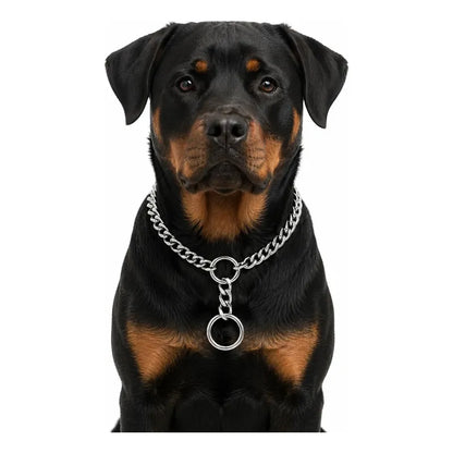 Collar Metalico Fuerte Argolla Seguridad Paseo Firme Mascota Plateado 50cm