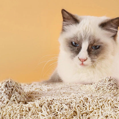 X2 Arena De Tofu Arena Sanitaria Arena Para Gatos Tofu 2 Kg