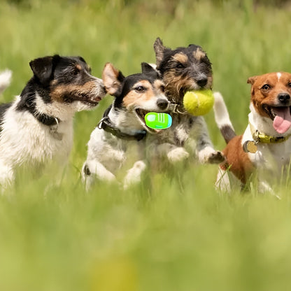 Juguete Mordedor Para Perros Juguetes Para Cachorros Sonido