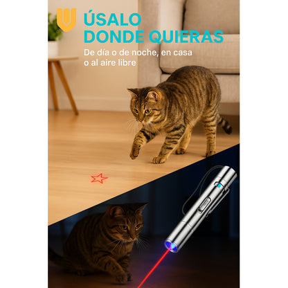 Puntero Laser Usb Juguete Laser Interactivo Gatos Recargable