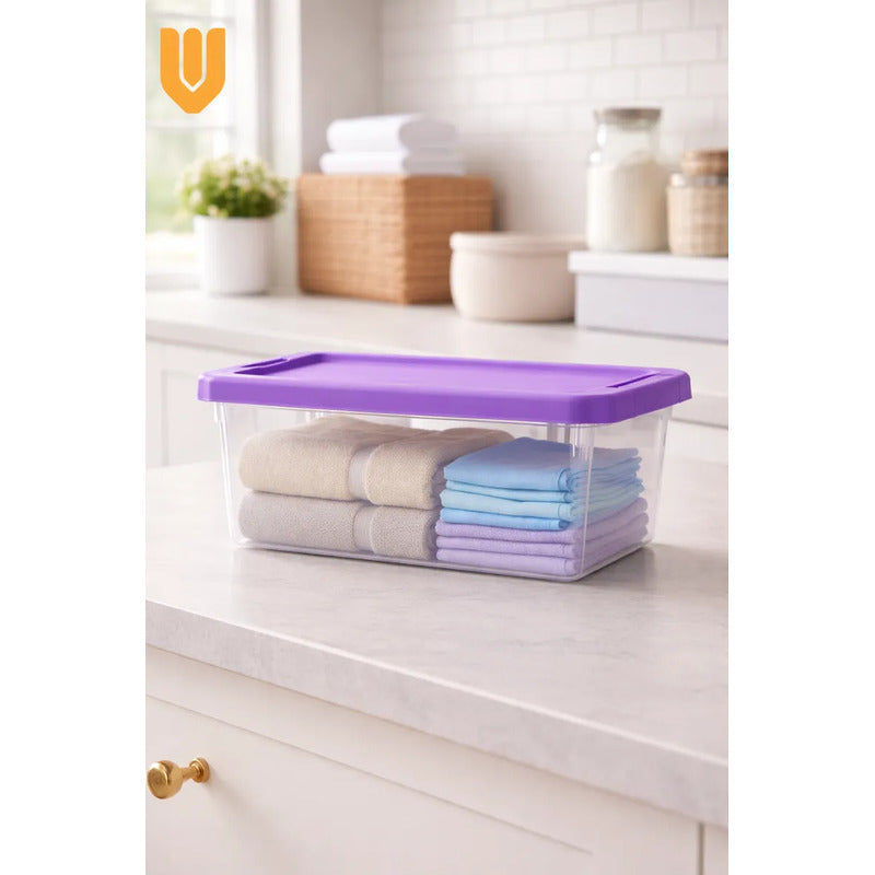 Caja Plastica Organizadora Apilable Hogar Almacenamiento 10l Transparente Tapa Gris Organizadora