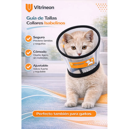 Collar Isabelino Perro Collar Isabelino Gato Collar Perro 2 Blanco-negro Collar Isabelino Talla 2 40-35cm