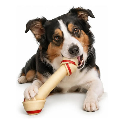 Hueso Perro Cartílago Juguete Hueso Perro Carne Interactivo Multicolor