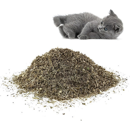 Hierba Gatera Para Gatos Snack Gatera Seca Para Gato 30g