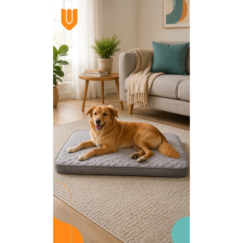 Cama Mascotas Perros Acolchada Resistente Lavable 90x72cm Color Gris