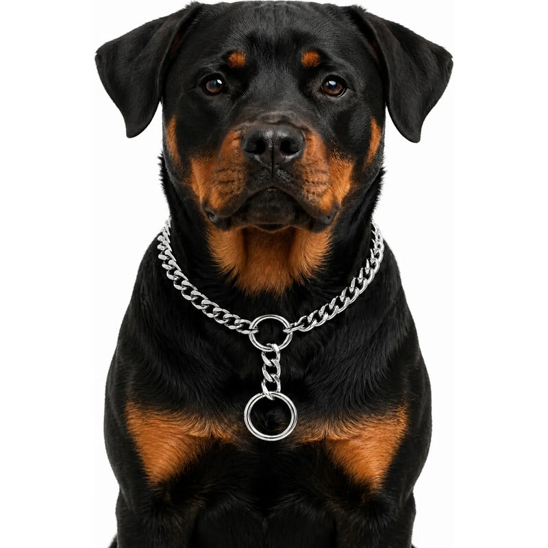 Collar Metalico Fuerte Argolla Seguridad Paseo Firme Mascota Plateado 50cm L