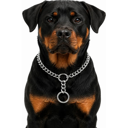 Collar Metalico Fuerte Argolla Seguridad Paseo Firme Mascota Plateado 50cm L