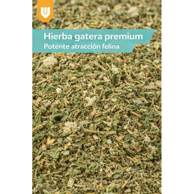 Pack 12 Hierba Aromatica Gatuna Estimulacion Natural Mascota
