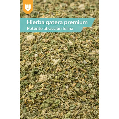 Pack 12 Hierba Aromatica Gatuna Estimulacion Natural Mascota